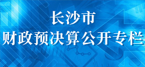 長沙市財政預決算公開專欄