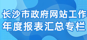 長沙市政府網站工作年度報表匯總專欄